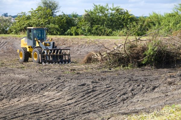 Hendersonville Land Clearing